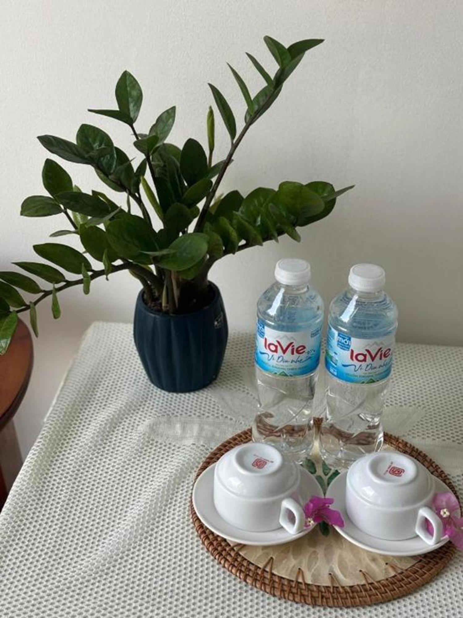 Good Morning Hoi An Homestay And Hostel Esterno foto